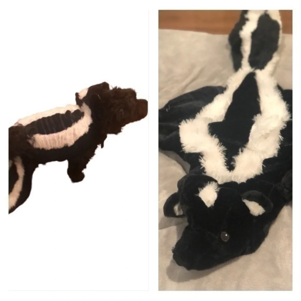 Dog skunk costume
